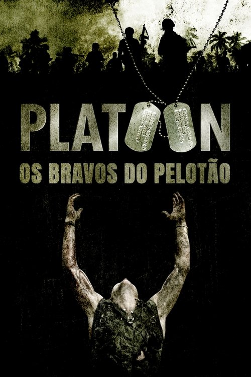 Poster do filme Platoon