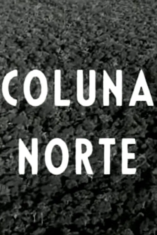 Coluna Norte movie poster