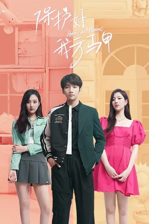 Protect Our Weistcoat tv show poster
