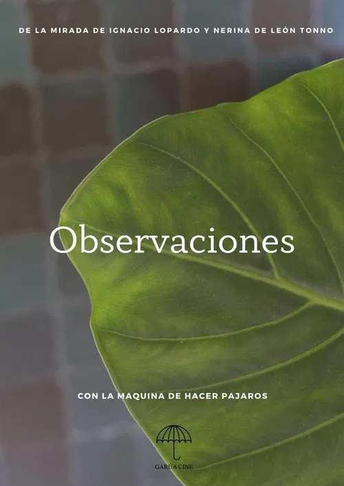 Observaciones movie poster