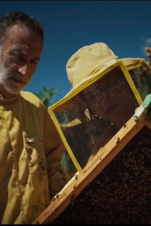 L'energia della creazione movie poster