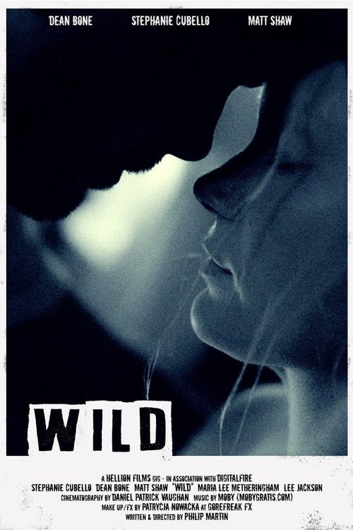 Wild movie poster