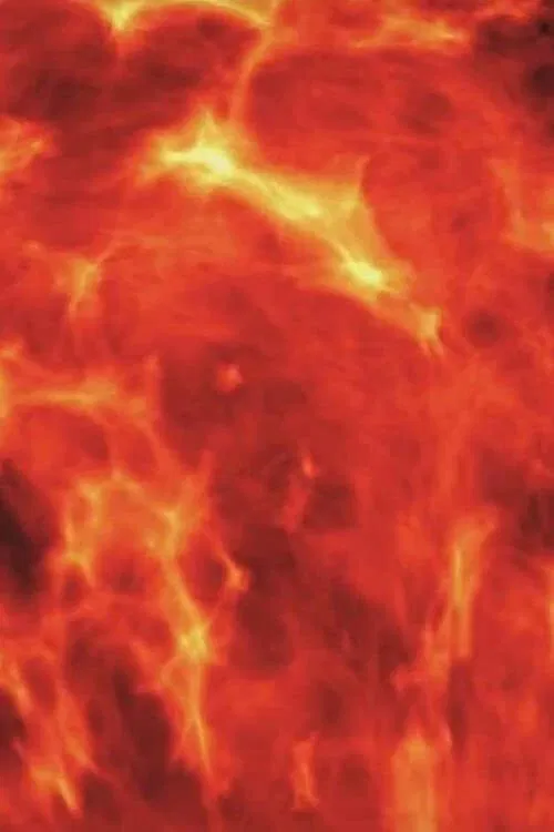 Total Entropy movie poster