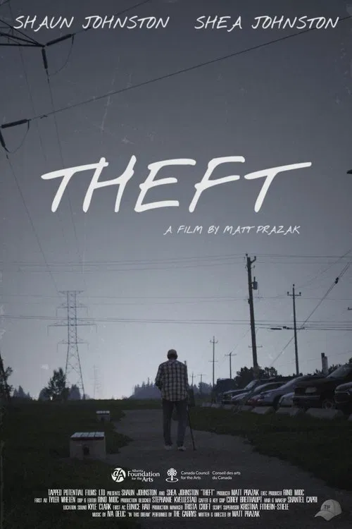 Theft movie poster