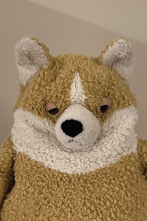 Pickle profile picture