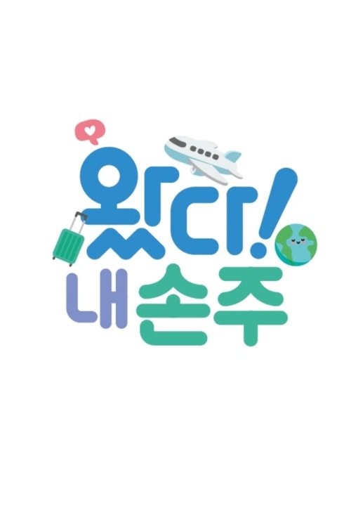 왔다! 내 손주 tv show poster