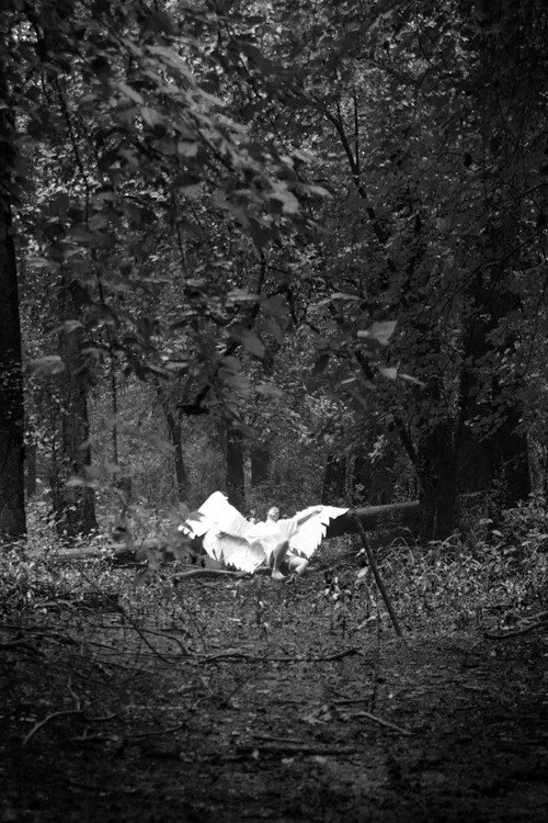 Poster do filme Sweet Icarus