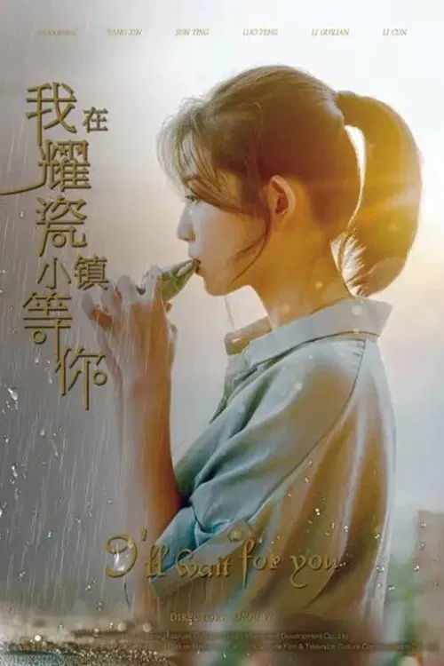 I'll Wait for You movie poster