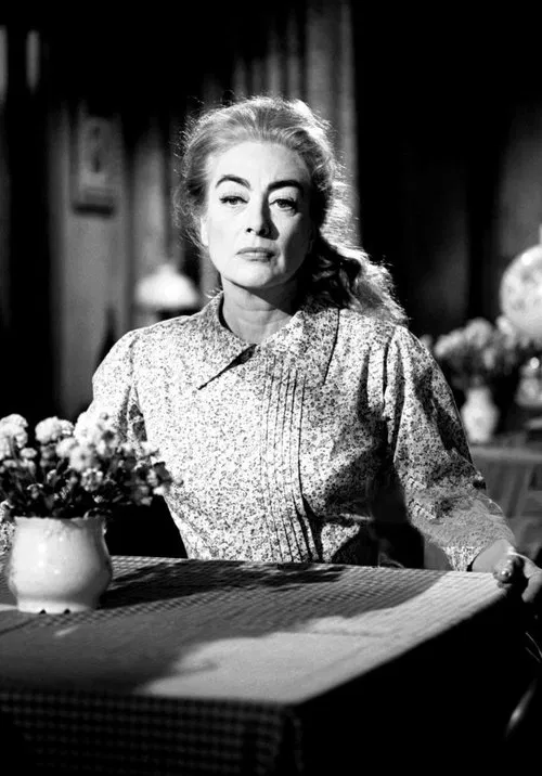 Rebel Range movie poster