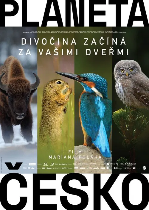 Poster do filme Wilder Than Wilderness