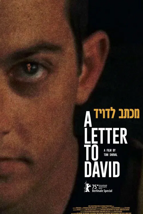 A Letter to David movie poster