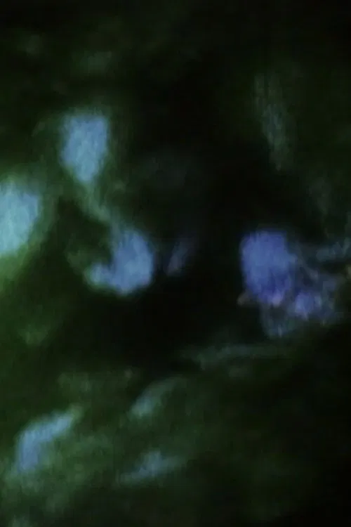 Field of Memories: Prelude movie poster