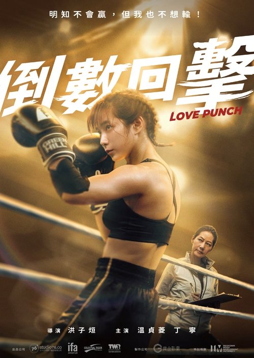 Love Punch movie poster