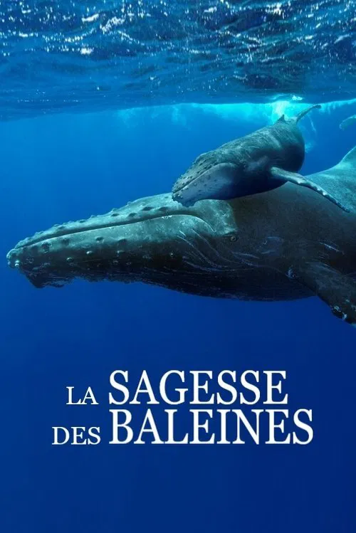 Das Wesen der Wale movie poster