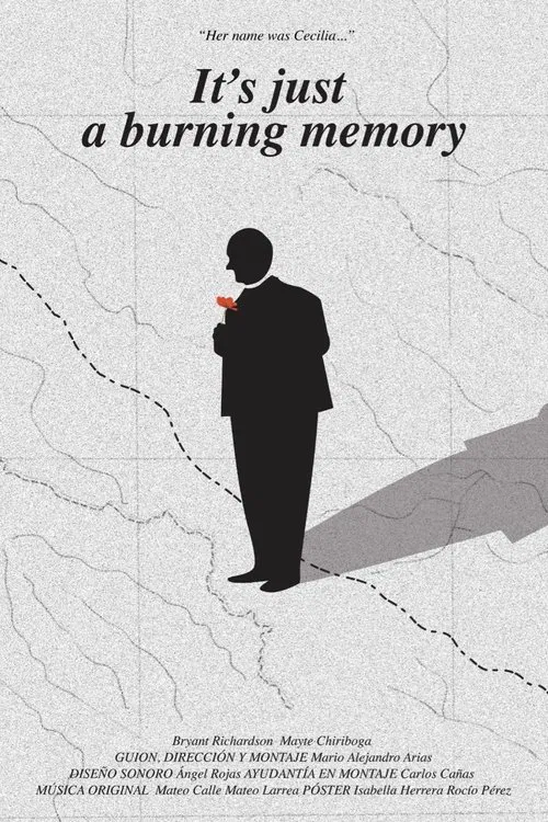 Poster do filme It's just a burning memory