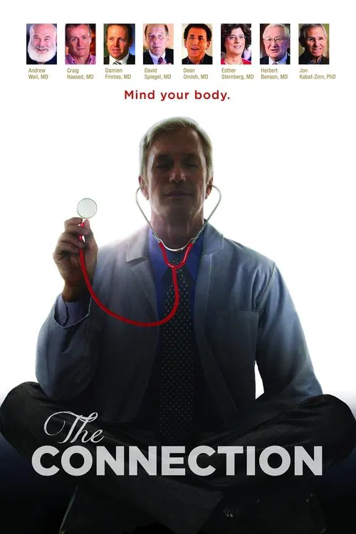 The Connection movie poster