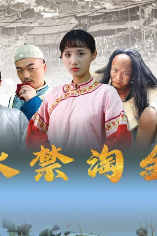 永禁淘金 movie poster