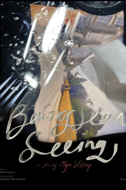 Being Seen Seeing movie poster