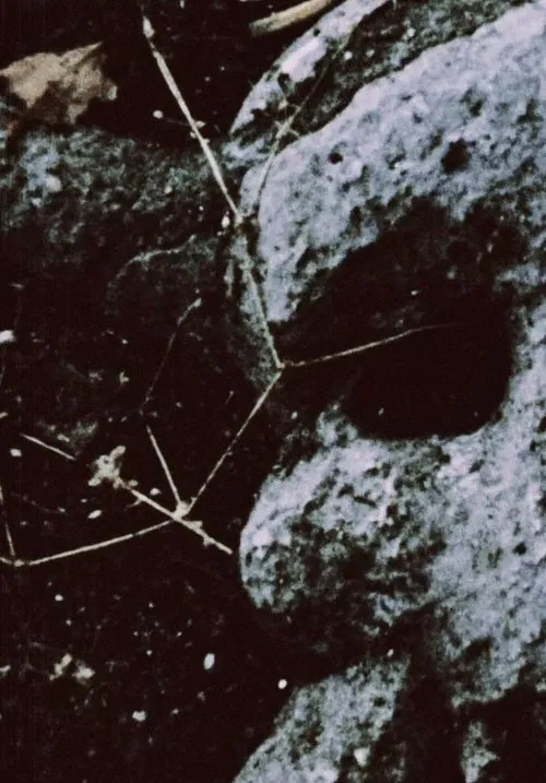 The Death Valley Is Good movie poster