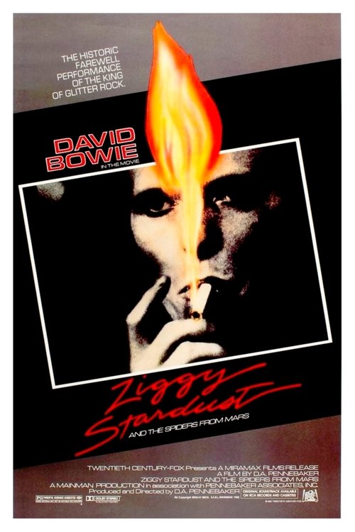 Ziggy Stardust and the Spiders from Mars movie poster