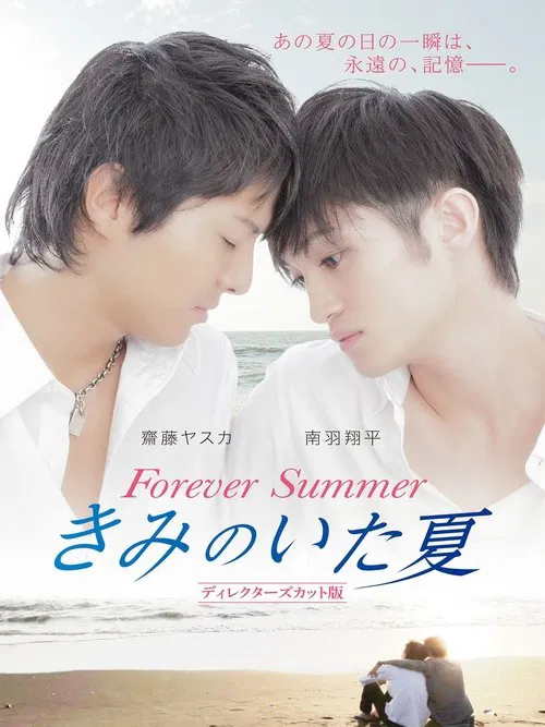 Poster do filme Forever Summer