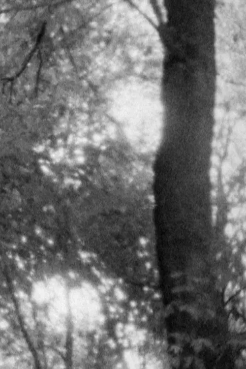 Untitled 1 movie poster