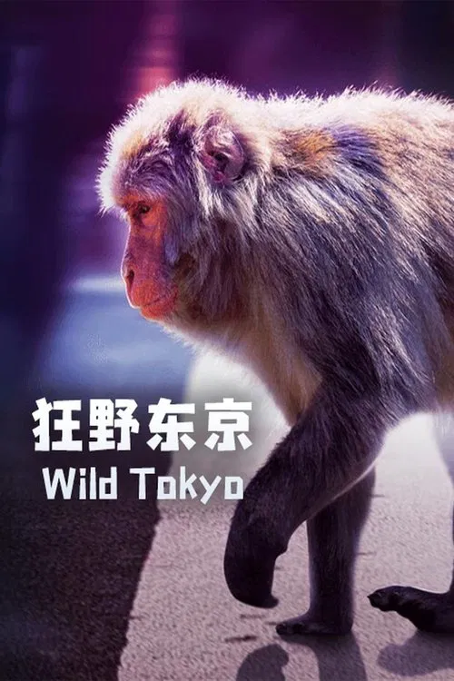 Wild Tokyo movie poster