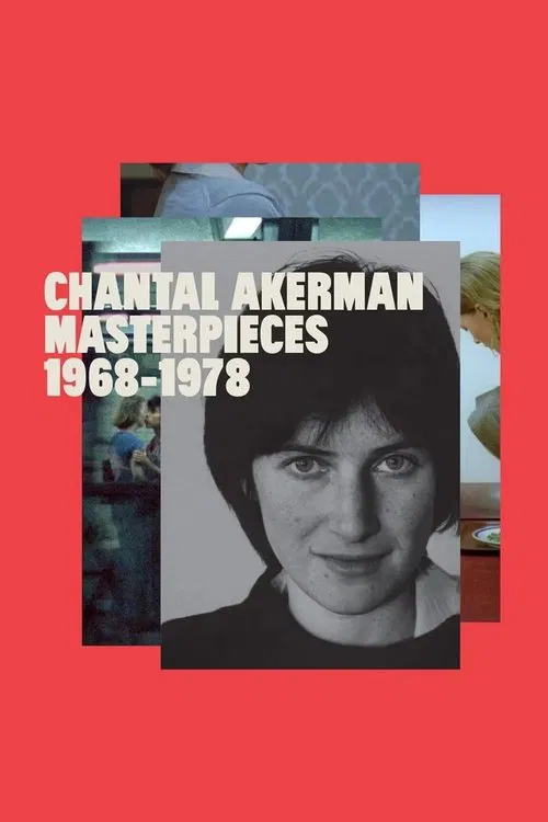 A New Way of Seeing: B. Ruby Rich on Chantal Akerman movie poster