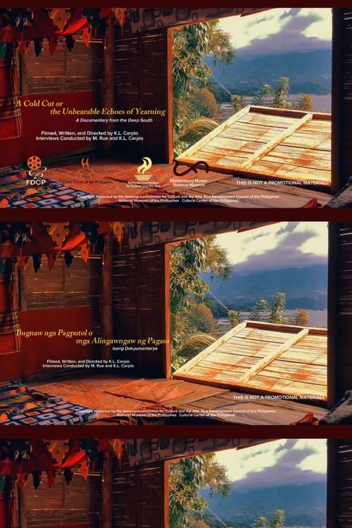 Poster do filme A Cold Cut or the Unbearable Echoes of Yearning