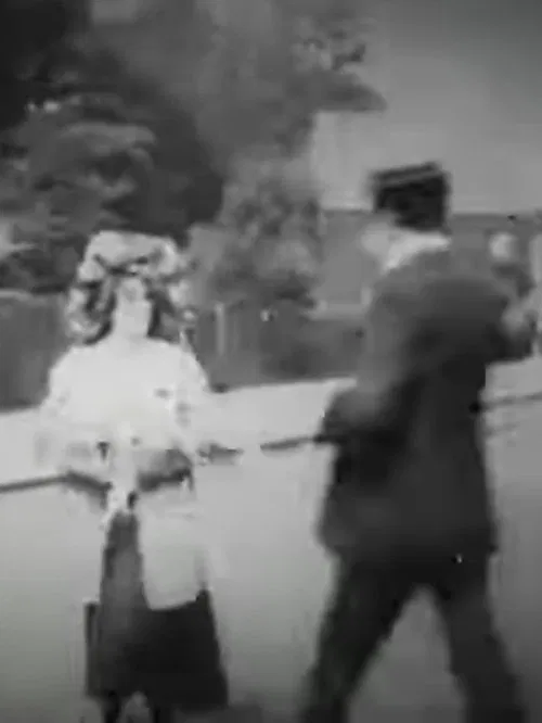 Lost, Stolen or Strayed movie poster