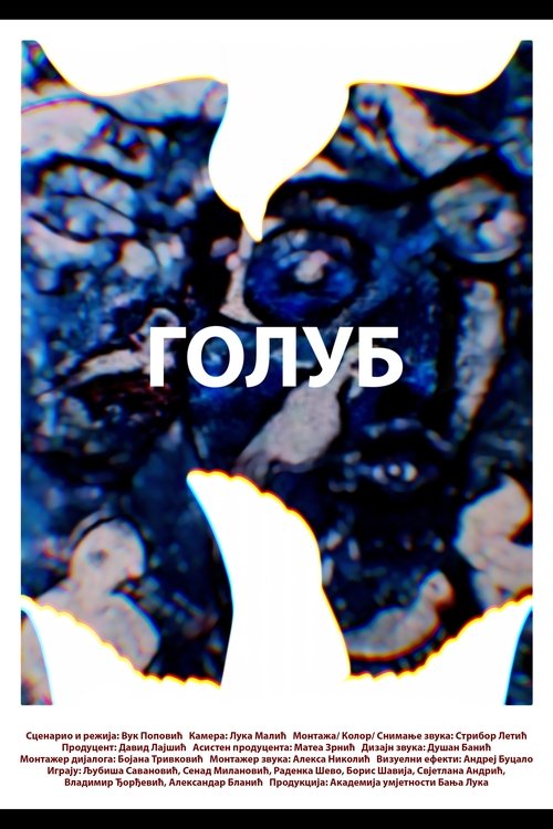 Poster do filme A pigeon
