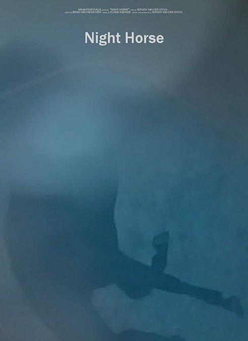 Night Horse movie poster