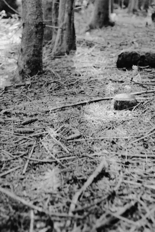 Repose-toi bien movie poster