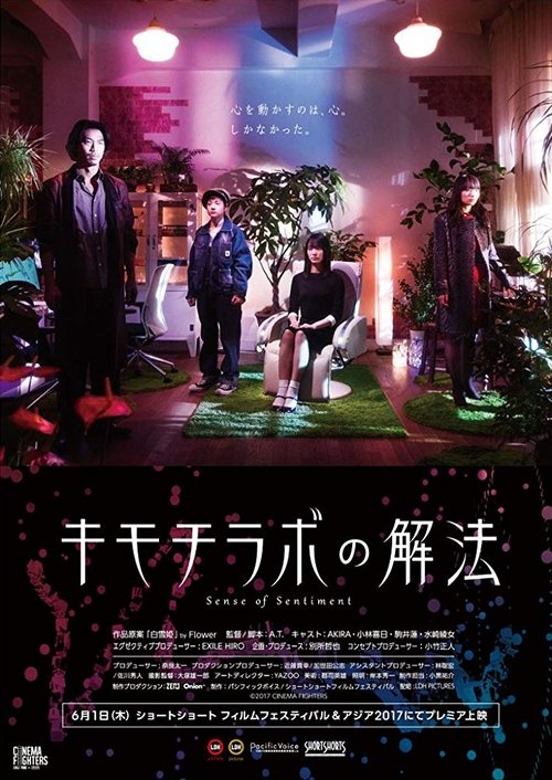 Sense of Sentiment movie poster