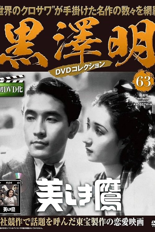 The Beautiful Hawk movie poster