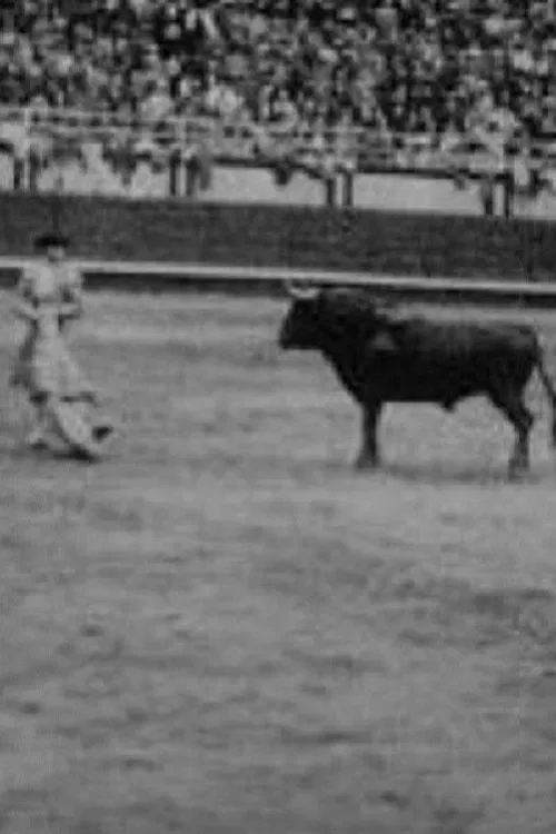 Corrida profesional Plaza Belmonte movie poster