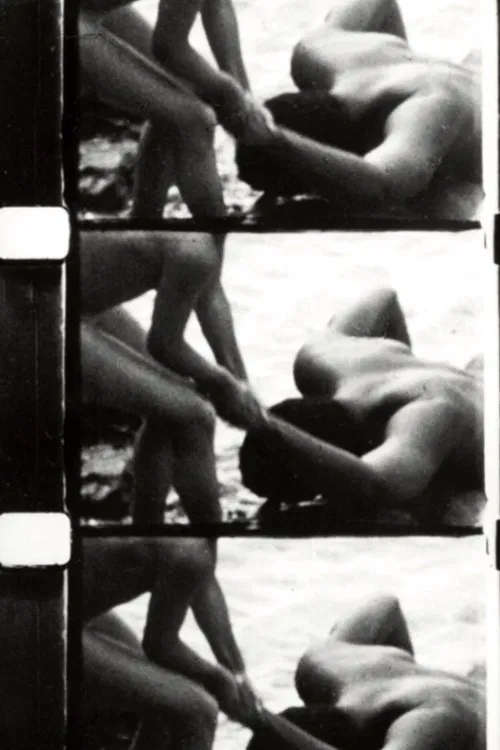 Poster do filme Perforce