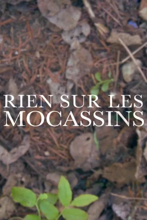 Rien sur les mocassins movie poster