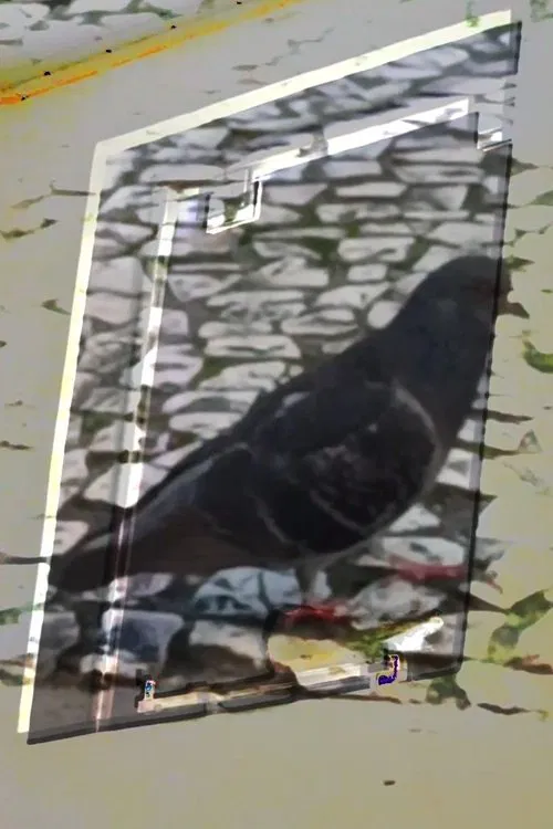 não tenho dormido muito mas continuo sonhando a cada piscada movie poster