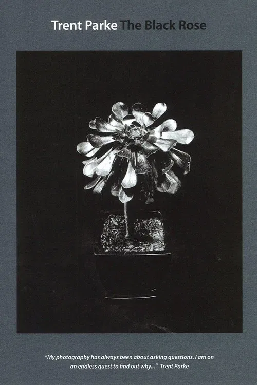 Trent Parke: The Black Rose movie poster