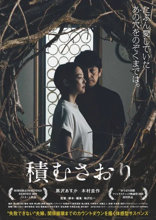 Poster do filme Saori, Piling Up