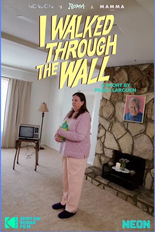 I Walked Through the Wall movie poster