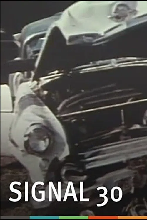 Signal 30 movie poster