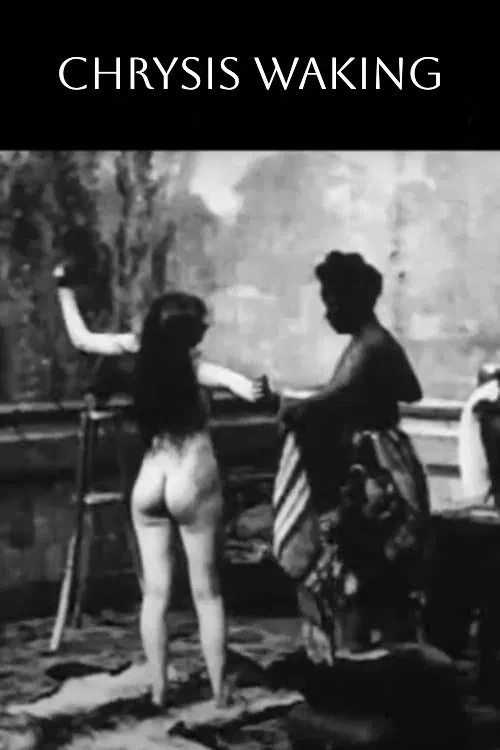 Chrysis Waking movie poster