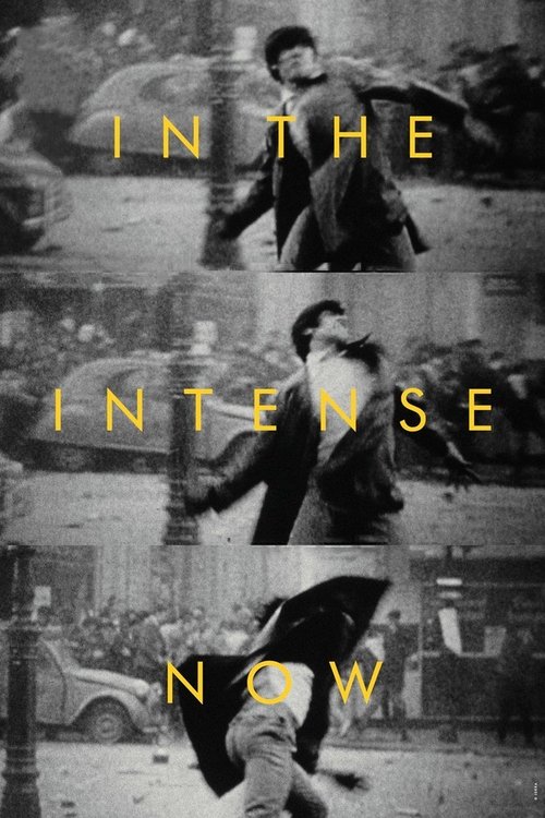 In the Intense Now movie poster