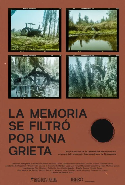 La memoria se filtró por una grieta movie poster