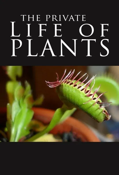 The Private Life of Plants tv show poster