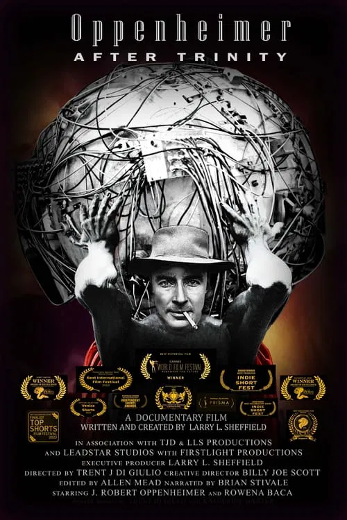 Oppenheimer After Trinity movie poster