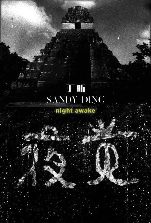 Poster do filme Night Awake
