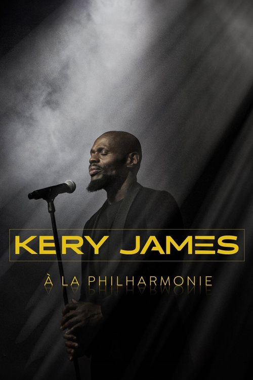 Kery James : Le poète noir et ses invités movie poster
